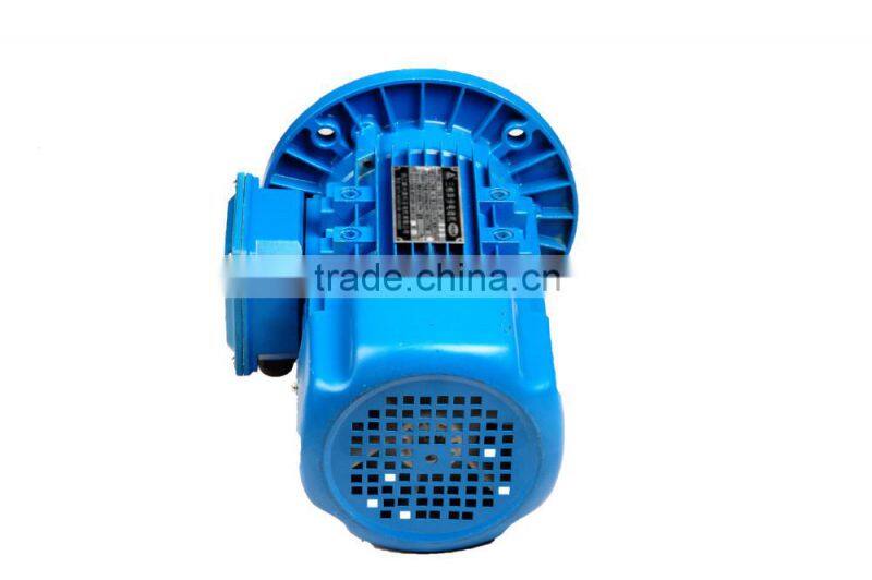 IEC standard water pump three phase induction motor