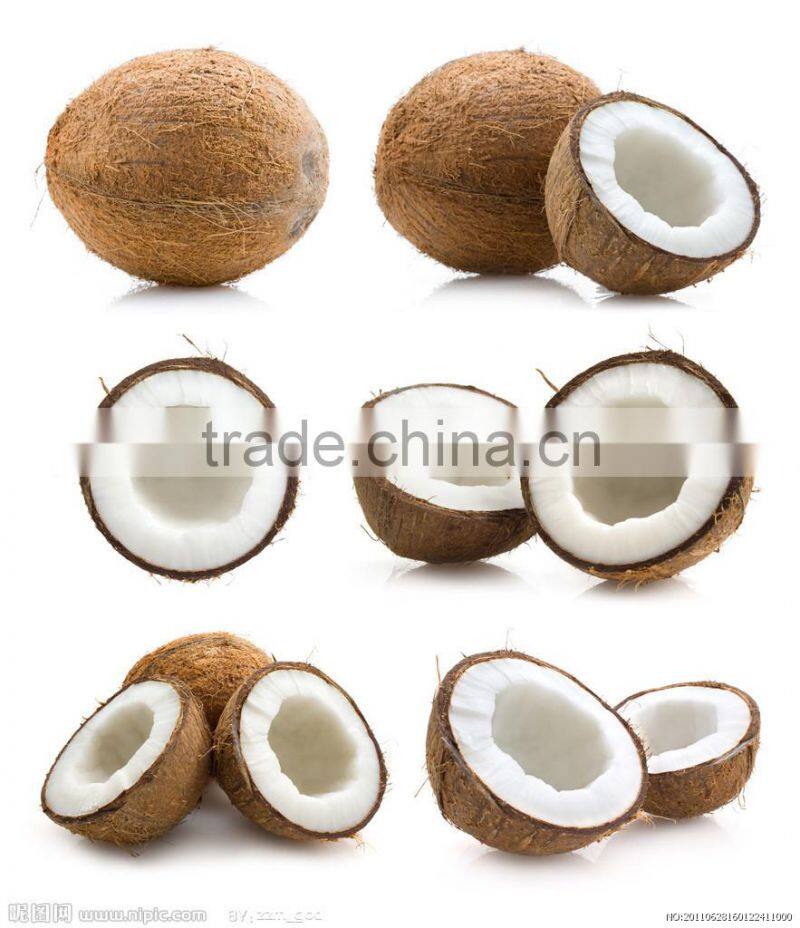 coconut shell powder grinding machine /ccoconut shell powder grinding machine price
