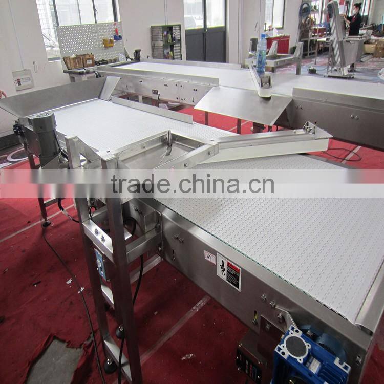 Conveyor Belt System Food Industry