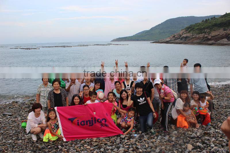 Portable Straight Line CNC Flame Cutting Machine System Plasma Cutting Machine