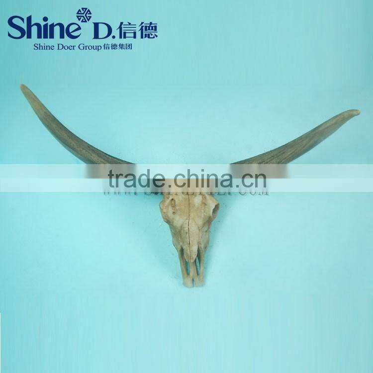 Natural cattle skull head buffalo skull animal head wall decoration