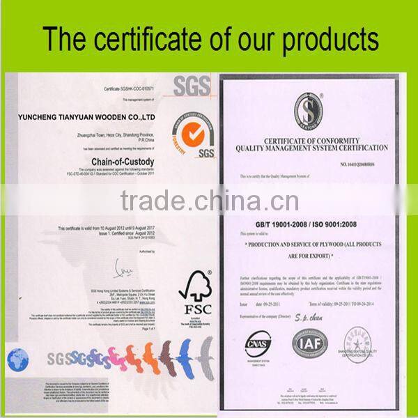 1220*2440 container flooring plywood