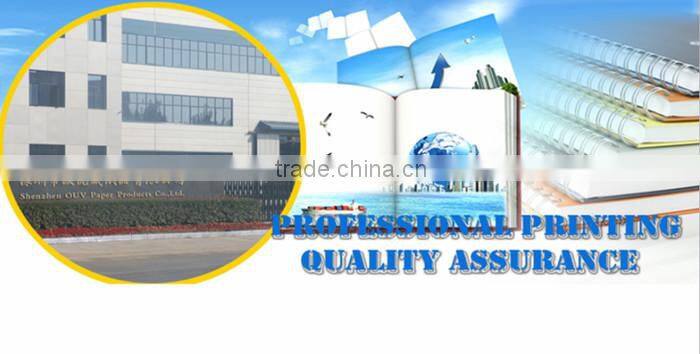 cheap bulk a4 size file folder