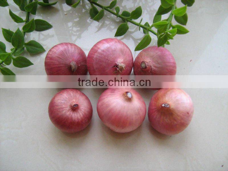fresh red onion in bag