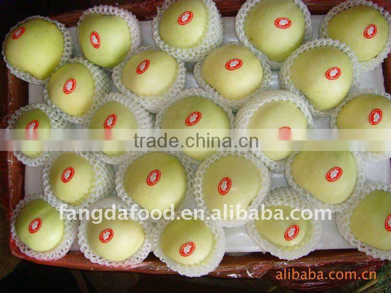pommes golden delicious/fresh golden apple hot sale in