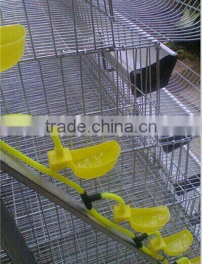 quail cage design for sale