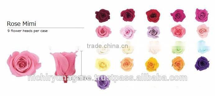 Pretty and Cute real touch hydrangea preserved flowers with various species