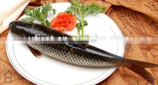 factory price fish gutting machine