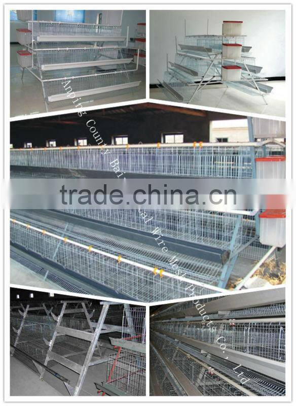 Chicken Cage Poultry Farm