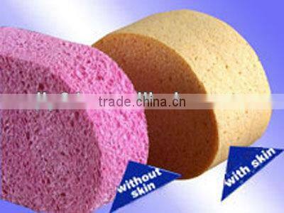cellulose car sponge