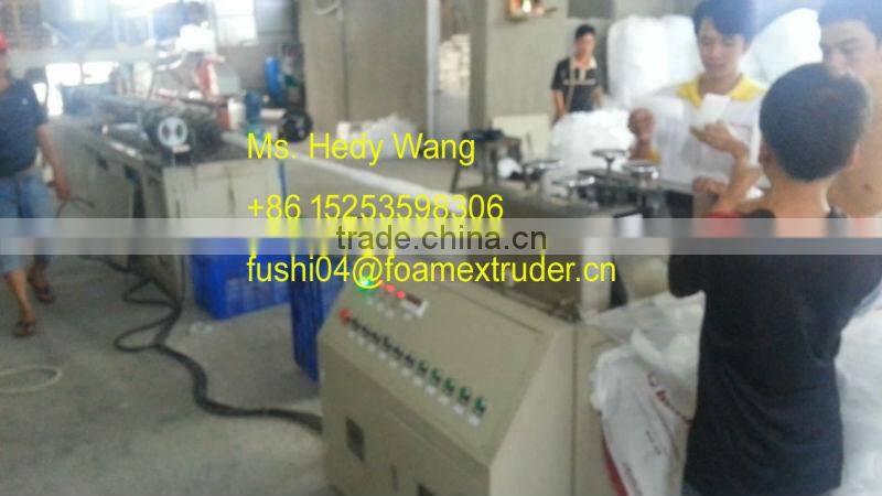 CE & ISO9001 Apple/Guava/Melon/Mango PE Foam Net/Pad Extrusion Machine