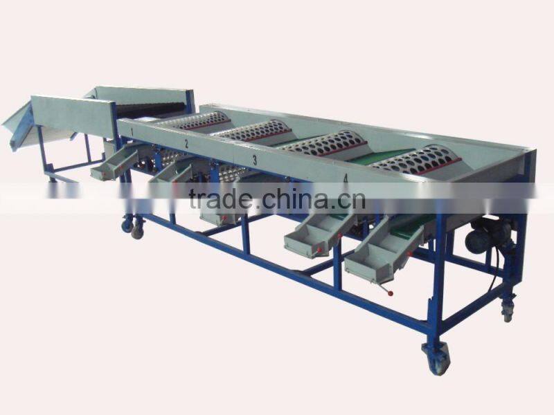Garlic /Vegetable and Fruit Cleaning and Grading/Sorting machine