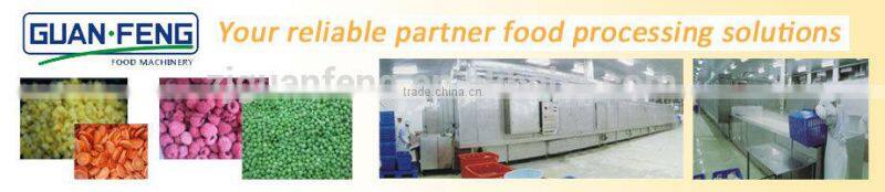 frozen french fries machinery/ automatic french fry machine