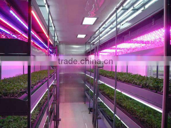 Grow led lights strip,grow led lights strip,blue led bar