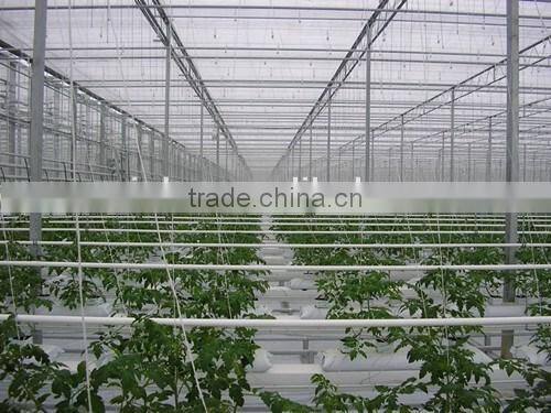 Warm in winter and cool in summer ecological greenhouse