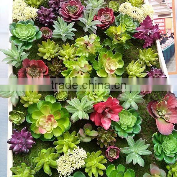 indoor decoration artificial mini succulent plants wall