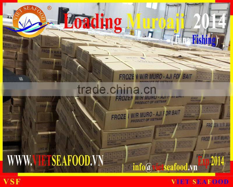 LOADING MUROAJI FOR TUNA BAIT