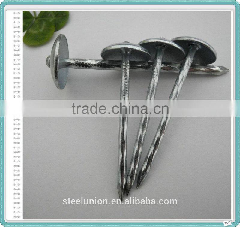 BWG9 BWG10 Export to Africa and Myanmar Indonesia E-galvanized Umbrella Head ROOFING NAILS