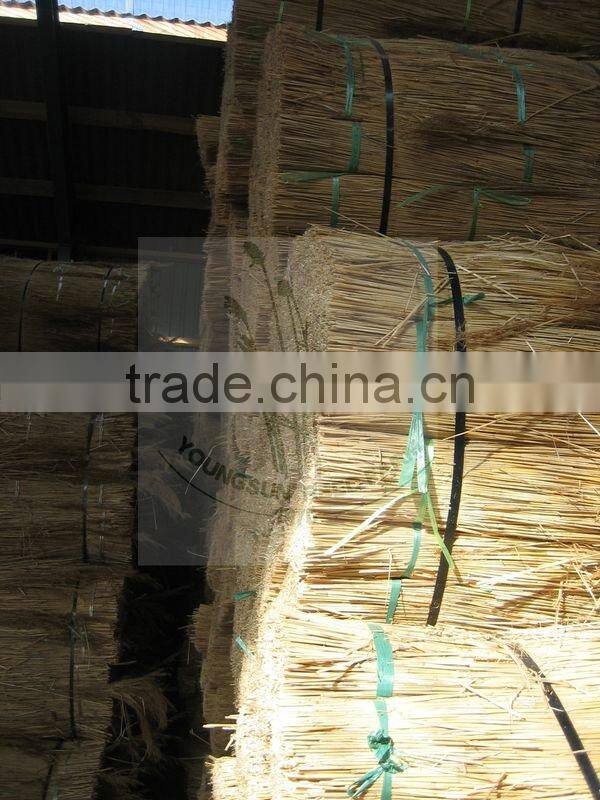 water reed for roof thatching