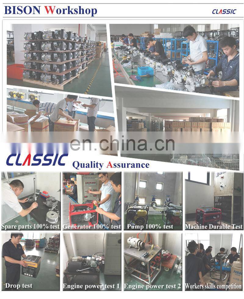 Concrete Vibrator with Gasoline Engine, Engine Concrete Vibrator Price Concrete Vibrate Hose