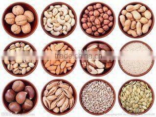 solid dryer/dried fruit dryer/nuts drying machine