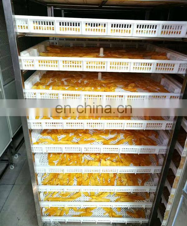 Automatic dried mango chips processing machine auto dehydrated mango making plant machinery cheap price for sale