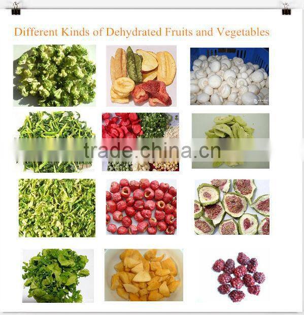 food drying cabinet/ mesh belt dryer/conveyor belting dryer