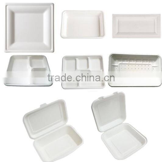 Biodegradable sugarcane fiber 425ml cups with lids for coffee or tea