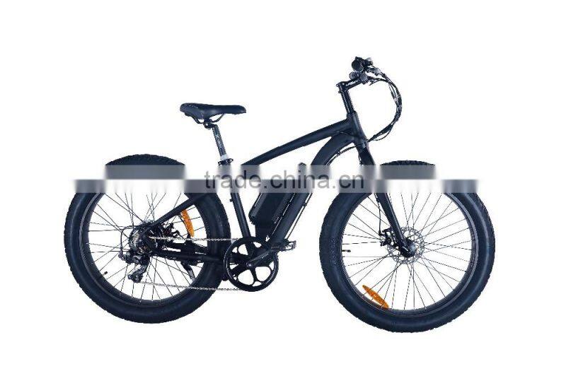 fat tire mountain bike