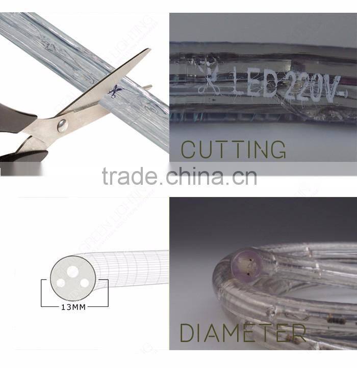 Warm Decoration High Output Waterproof LED Rope Light