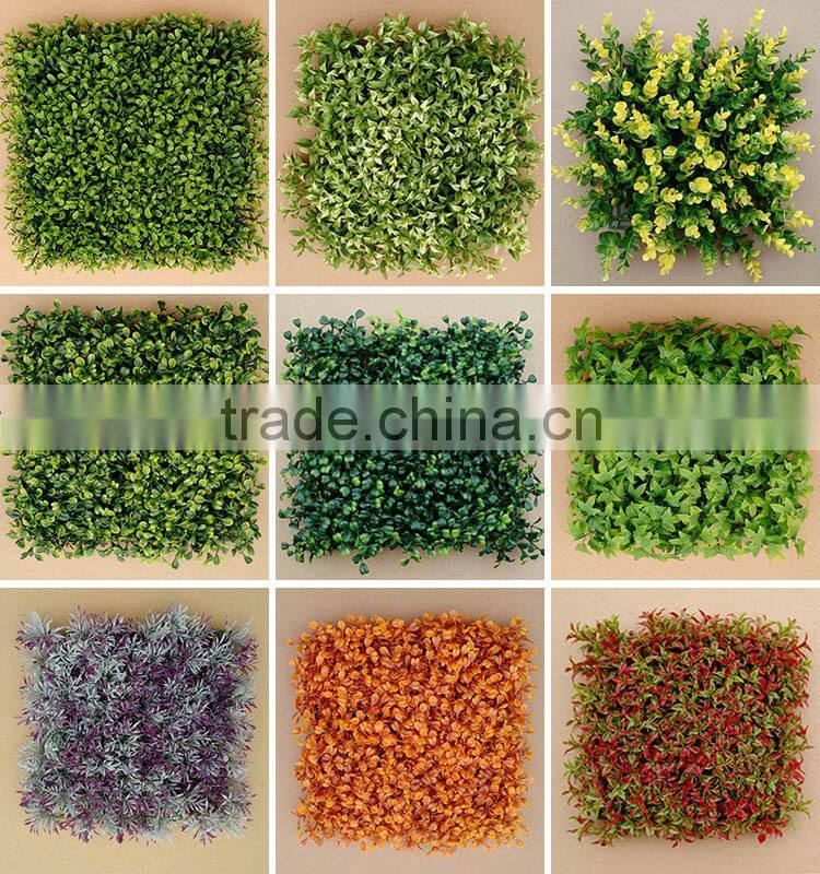 Wall Decorative Indoor Plastic Green Replica Boxwood Grass Hedge Mat for Sell