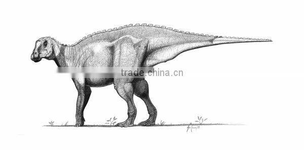 Life Size Dinosaur Skeleton Replica Of Gryposaurus