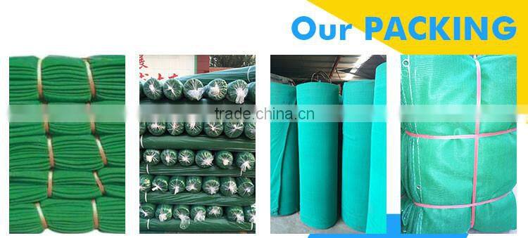 high quality blue safety net fall protection