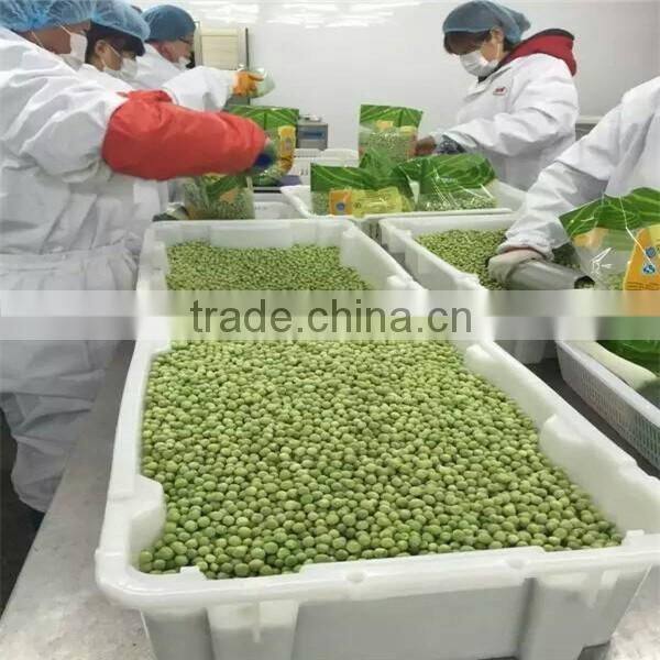 2016 new crop sweet corn kernels with HACCP certification