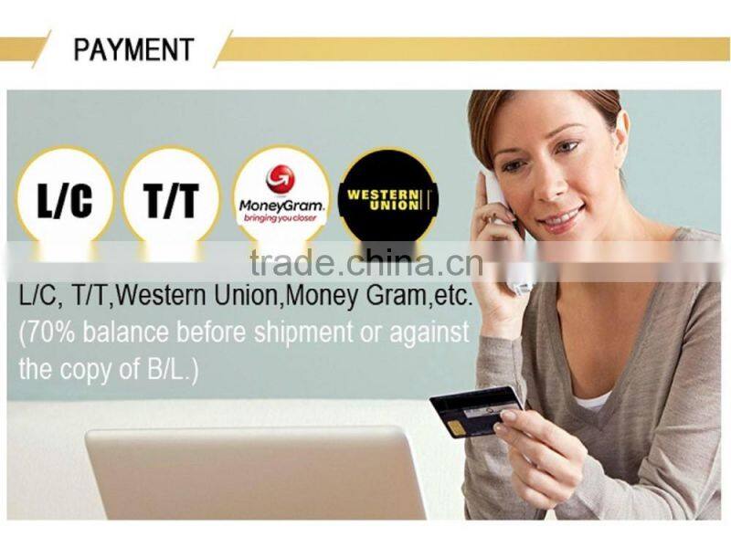 Lady Handbag Shoulder Bag Tote Purse New Fashion Leather Women Messenger Fashion Hobo