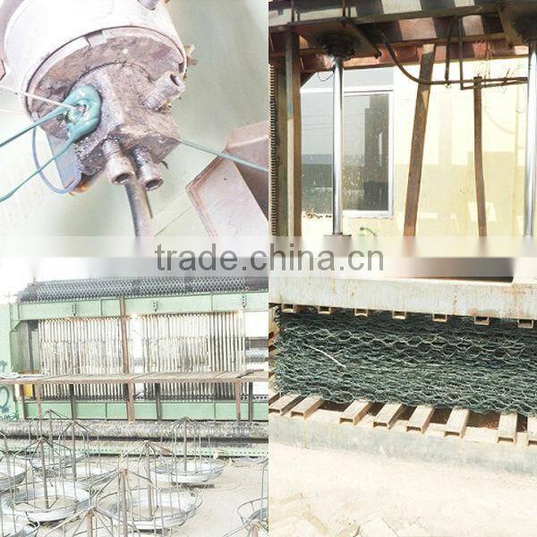 hexagonal wire netting anping factory