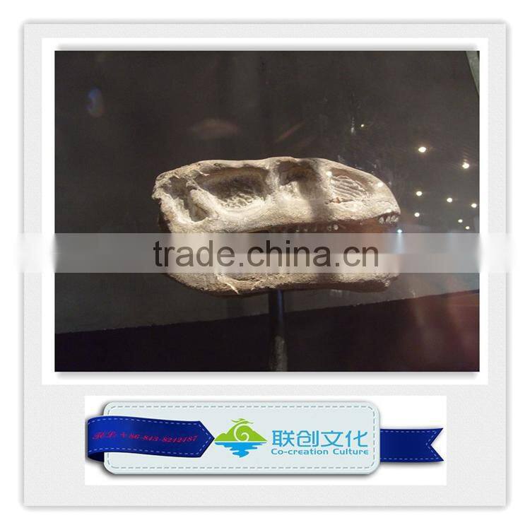 High quality museum life size dinosaur replica