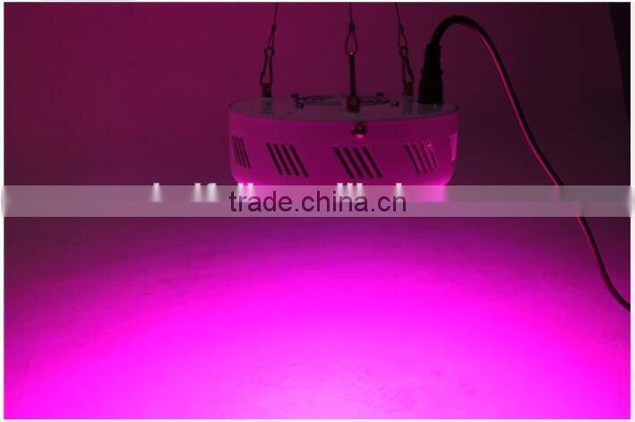 Cheap Round 110V 300W Special Spectrum Led Plant Light