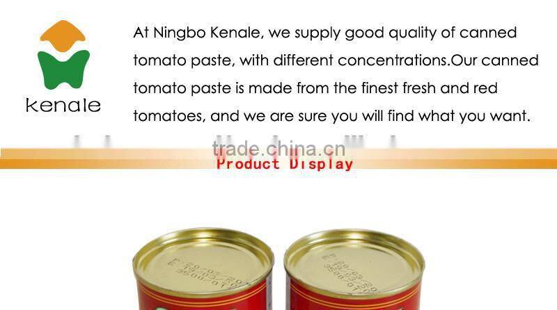 Best canned tomato paste in 70gX100tins