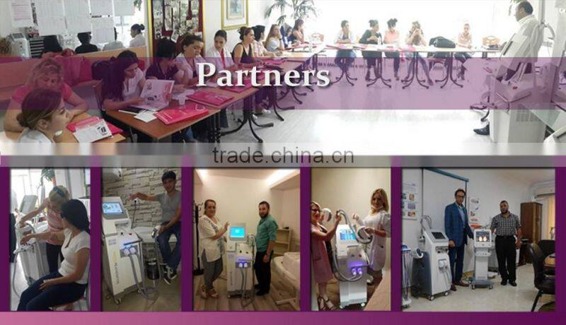 Cryolipolysis/Cryolipolysis Fat Freeze Slimming machine/cryolipolysis weight loss machine