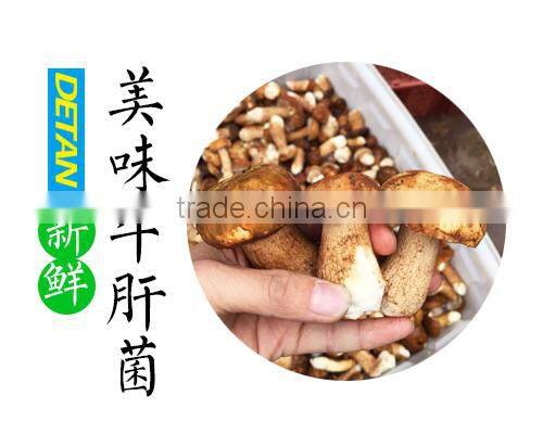 Delicious dried yellow boletus price