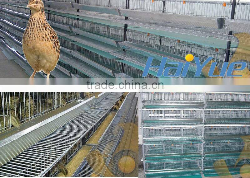 taiy quail layer cage design for sales