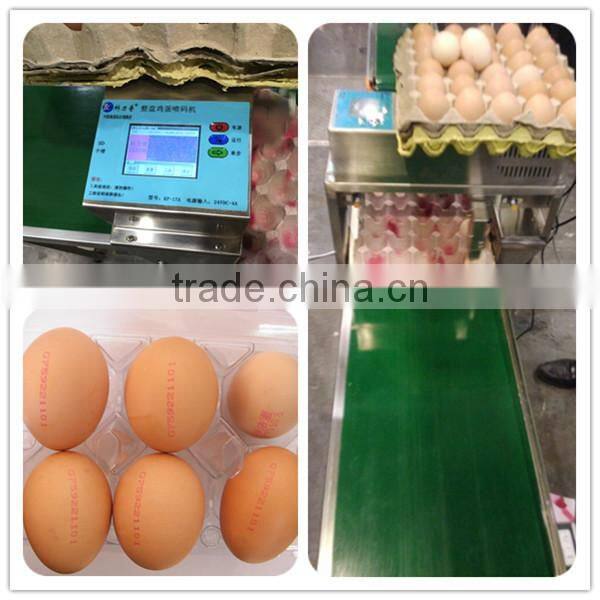 Hot Sale Automatic 1-8 lines date / code / number / logo Egg Print Machine