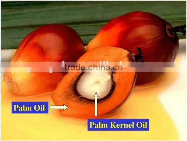China best supplier 60TPH palm oil milling plant in Ghana 2016