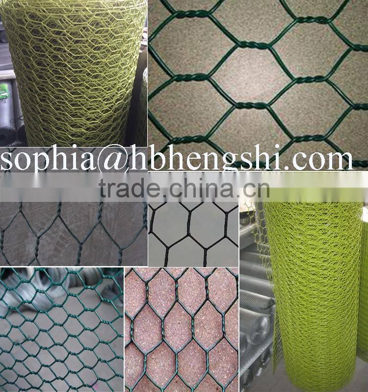 PVC coated Chicken Wire Mesh (Hexagonal Wire Netting)