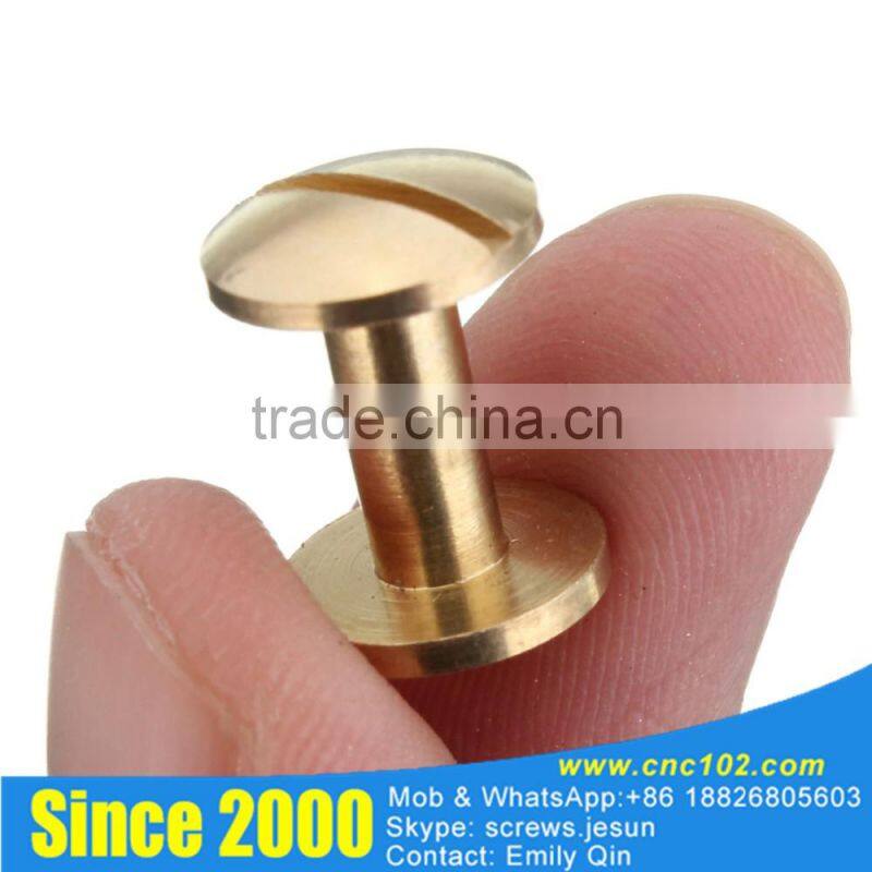 china supplier brass chicago screws