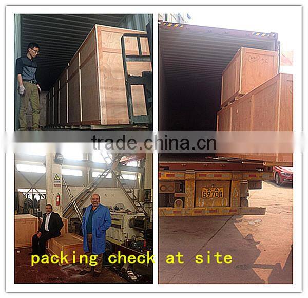 Plastic Recycle Grinder PET Bottle Crusher