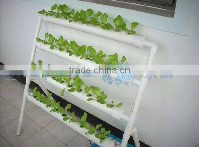 Single Side Hydroponic Shelf vegetable growing Used in home