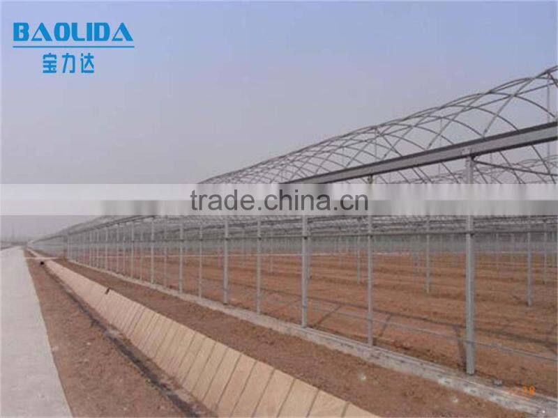 hot dip galvanized framework plastic film greenhouse for vegetables and plant