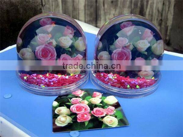 Plastic love flower photo holder snow globes
